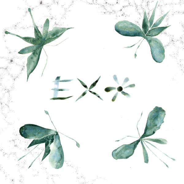 Exo (28) — Exo