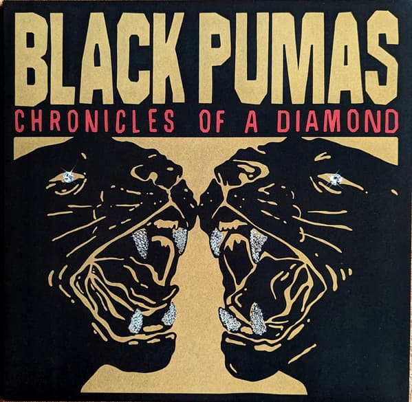 Black Pumas — Chronicles Of A Diamond