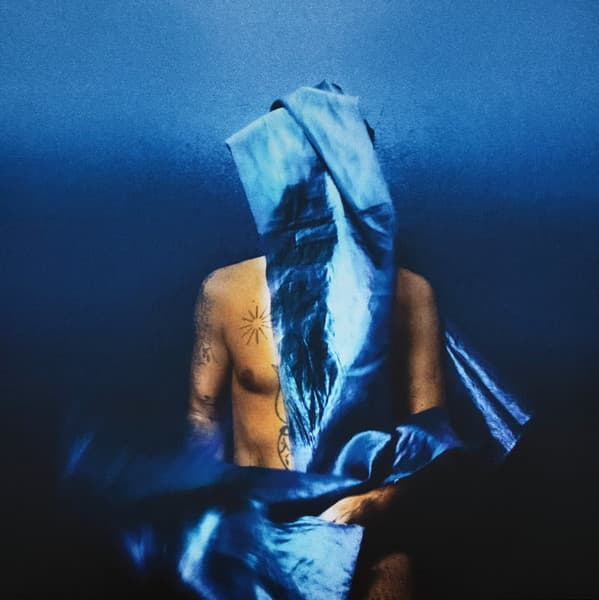 Devendra Banhart — Flying Wig