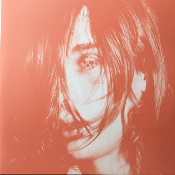 Deerhunter — Microcastle / Weird Era Cont.