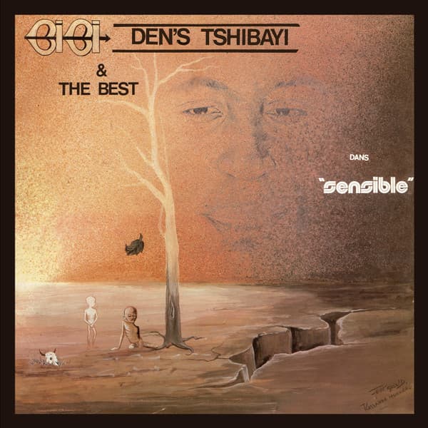 Bibi Den's Tshibayi — Sensible