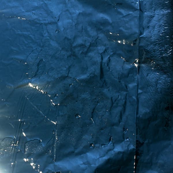 Polseguera — Vida Grisa
