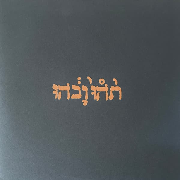 Godspeed You Black Emperor! — Slow Riot For New Zero Kanada E.P.