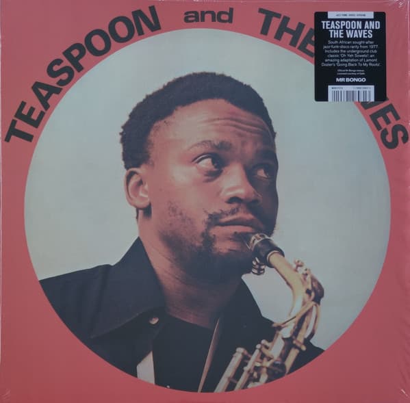 Teaspoon Ndelu, The Waves (12) — Teaspoon & The Waves