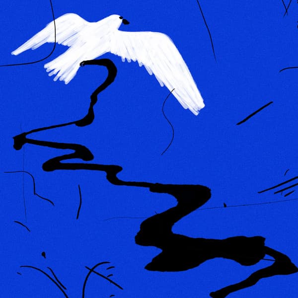 El Pèsol Feréstec — L'exemple dels ocells