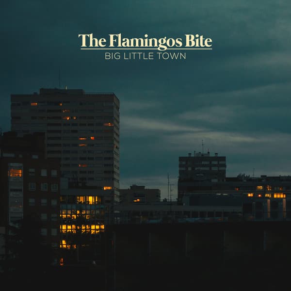 The Flamingos Bite — Big Little Town