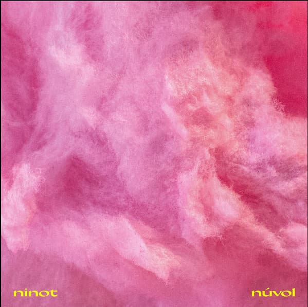 Ninot — Núvol