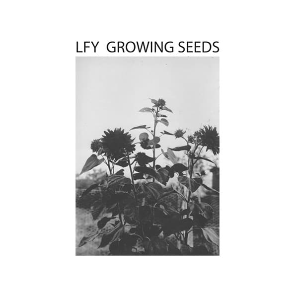 Lust For Youth — Growing Seeds