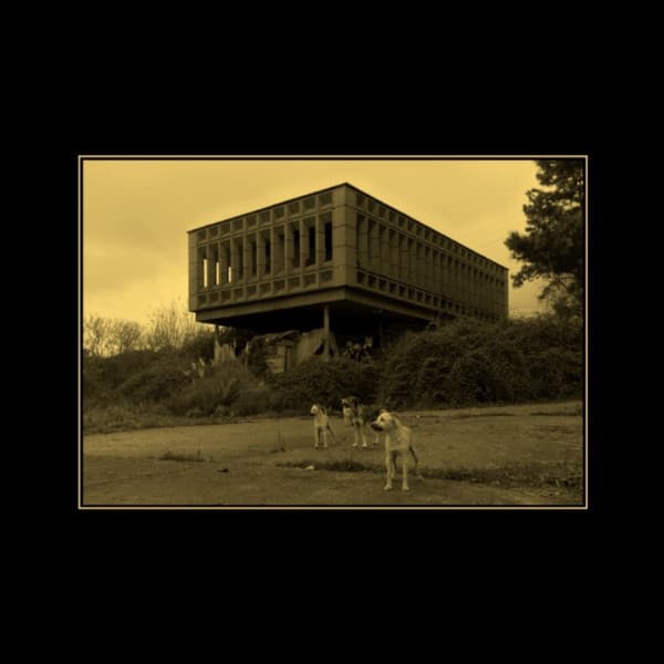 Alpiste — Alpiste