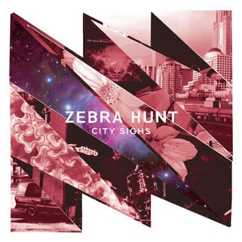 Zebra Hunt — City Sighs