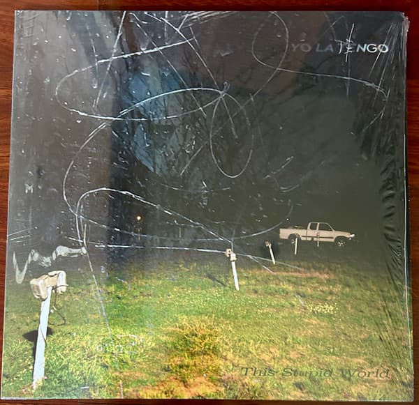 Yo La Tengo — This Stupid World