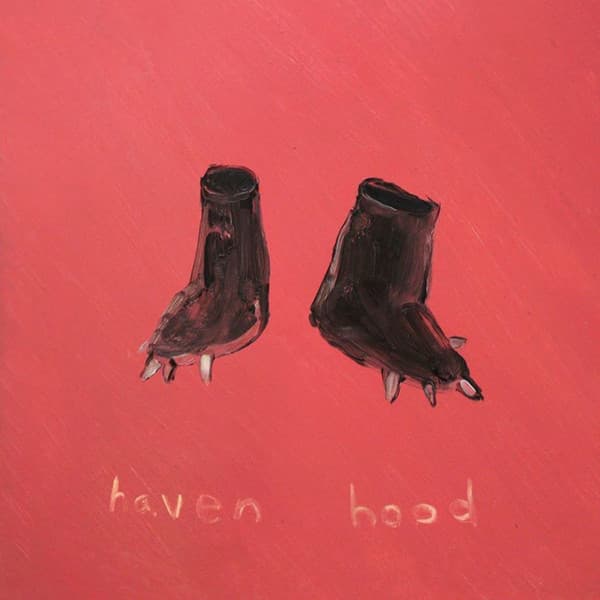 Sorry Kate — Haven Hood