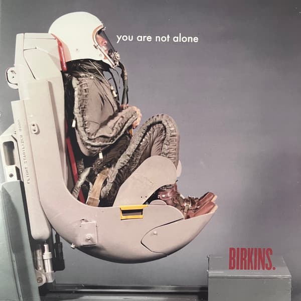 The Birkins — You Are Not Alone