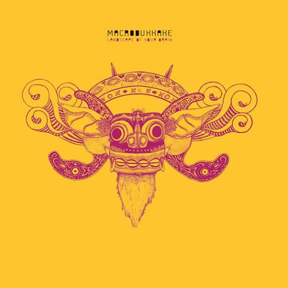Macrobukkake — Landscape of your brain