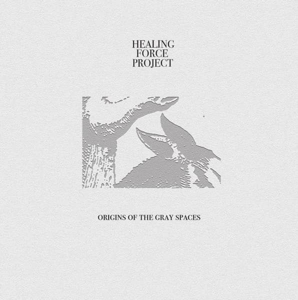 Healing Force Project — Origins Of The Gray Spaces