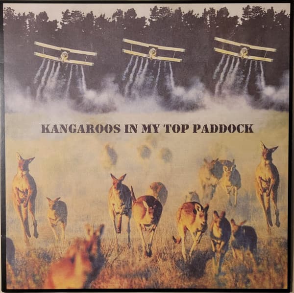 The Cakekitchen — Kangaroos In My Top Paddock
