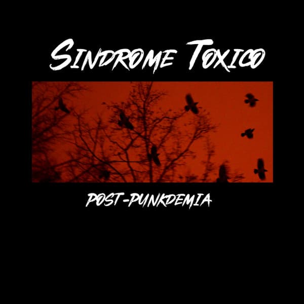 Sindrome Toxico — Post-Punkdemia