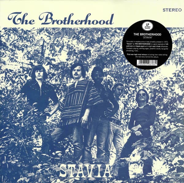 The Brotherhood (9) — Stavia