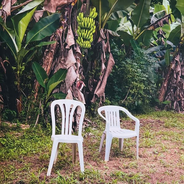 Bad Bunny — Debí Tirar Más Fotos