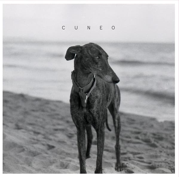 Cuneo — Cuneo
