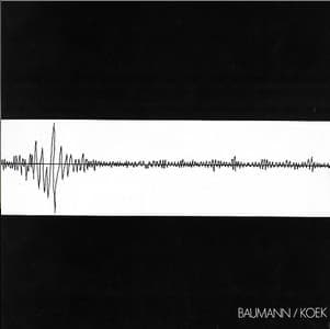 Wolfgang Baumann, Ata Koek — Baumann / Koek