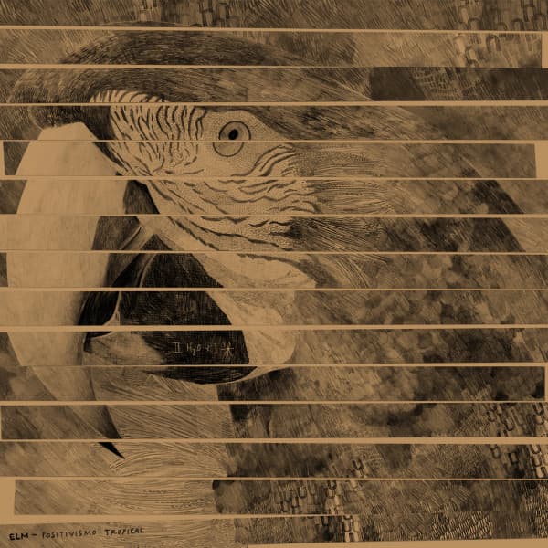 ELM (Experimental Little Monkey) — Positivismo Tropical
