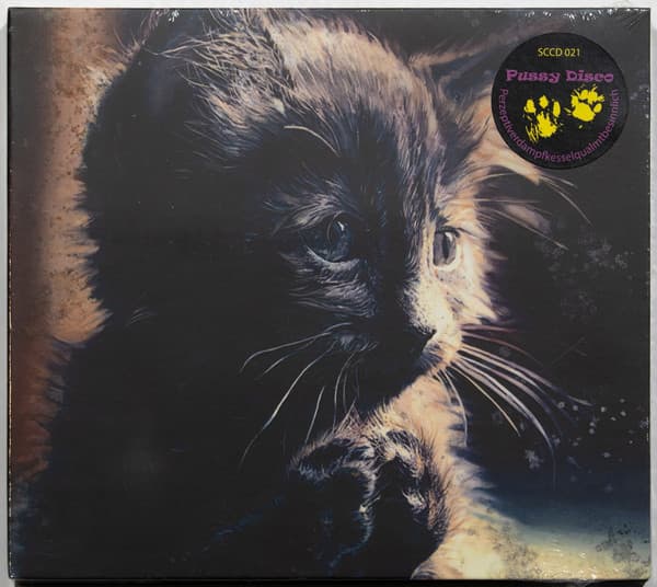 Perzeptiverdampfkesselqualmtbesinnlich — Pussy Disco