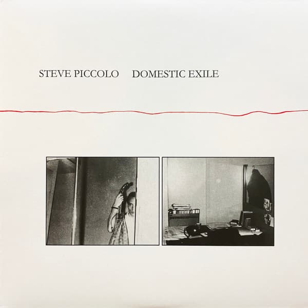 Steve Piccolo — Domestic Exile