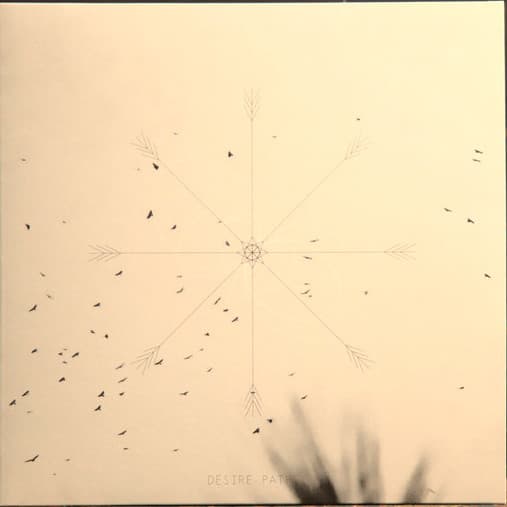 Linalab — Desire Paths