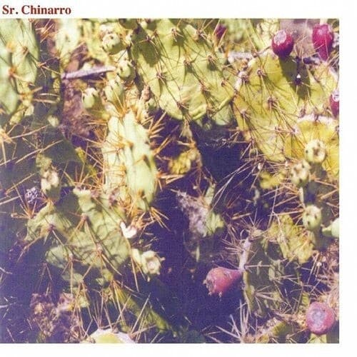 Sr. Chinarro — Sr. Chinarro