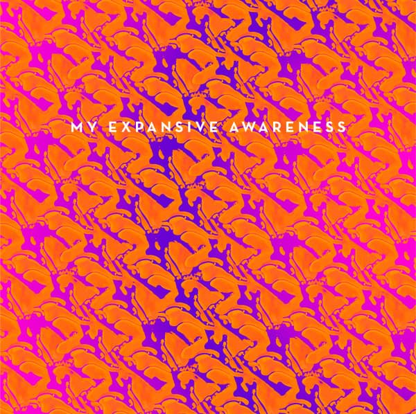 My Expansive Awareness — Do You Wanna Be Rich?