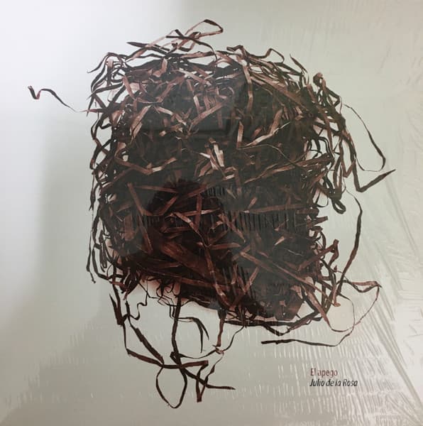 Julio De La Rosa — El Apego