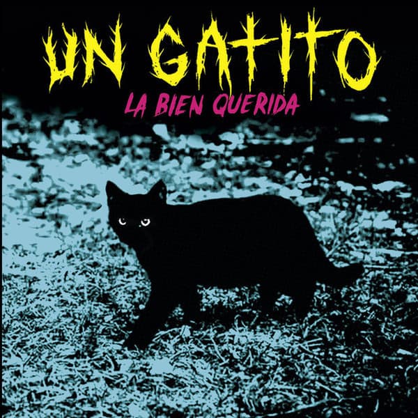 La Bien Querida — Un Gatito