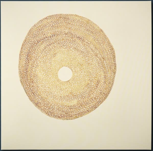 Jordi Santanach — Strata