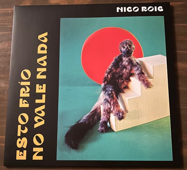 Nico Roig — Esto frío no vale nada