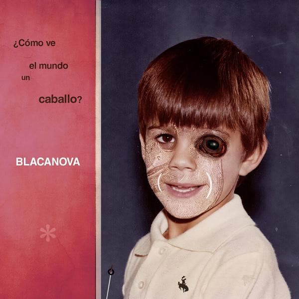 Blacanova — ¿Cómo Ve El Mundo Un Caballo?