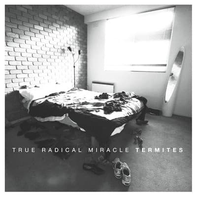 True Radical Miracle — Termites