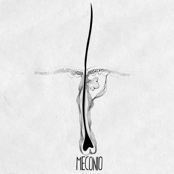 Meconio — La Raiz Del Vello