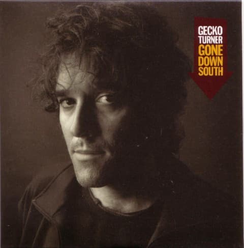Gecko Turner — Gone Down South