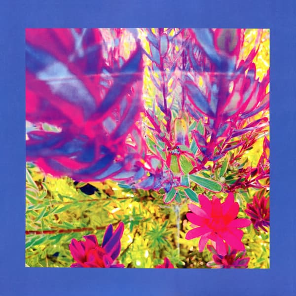The Reds, Pinks And Purples — The Past Is A Garden I Never Fed